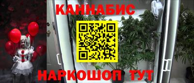PSILOCYBIN Гудермес