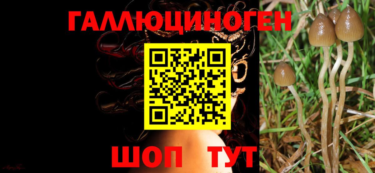 Галлюциногенные грибы Cubensis  Вход с VPN  Ржев  где найти наркотики  Галлюциногенные грибы Magic Shrooms 